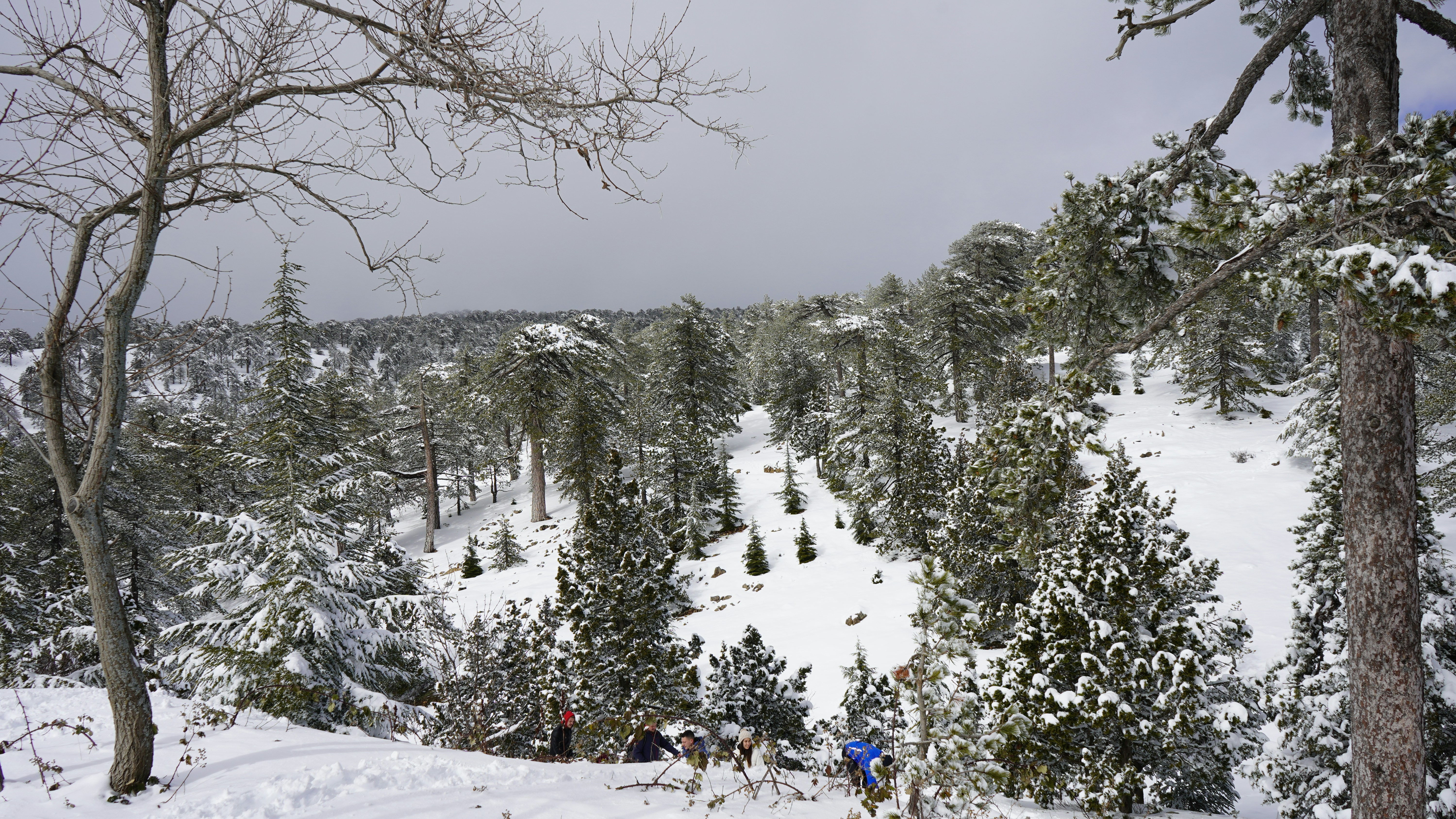 The Troodos Mountains, Cyprus — Cyprus